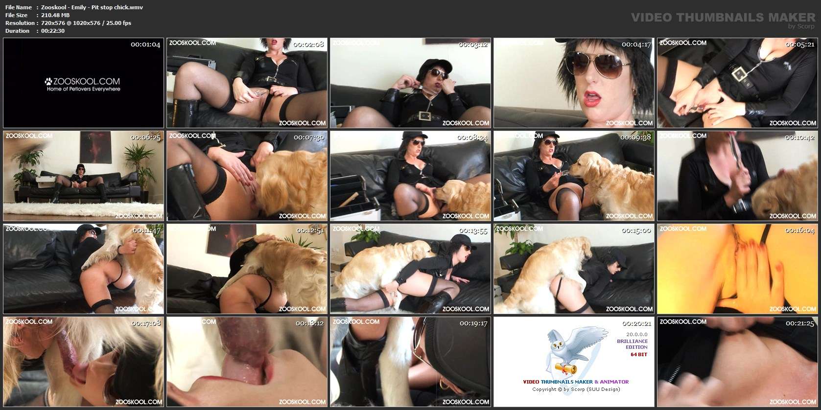 pinto de cavalo fodas com animais sexo bizarro k9lady animalsex Bestiality woman having sex with animals Filmes Pornô Com Cachorros - Zoofilia Amadora